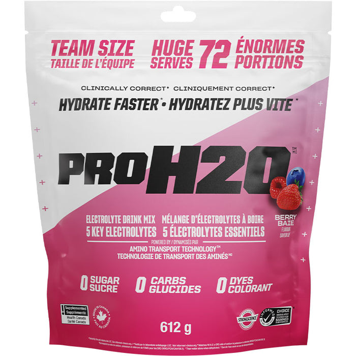 PVL Pro H20 612g