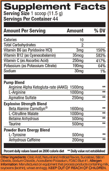 Rival Nutrition Powder Burn 2.0 506g