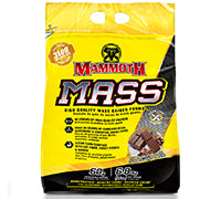 Mammoth MASS 15lb